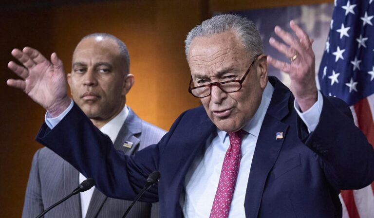 Demócratas ante la inminente posible paralización federal: ¿cuál es su