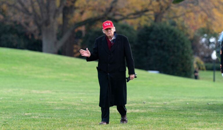 Indulto de pavo: Una tradición navideña en tiempos inciertos para