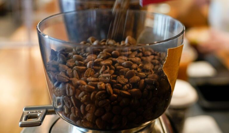 Nuevos acuerdos comerciales entre EE. UU. y América Latina