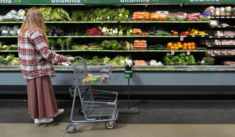 SNAP Food Aid Update: What to Know Before the Vote